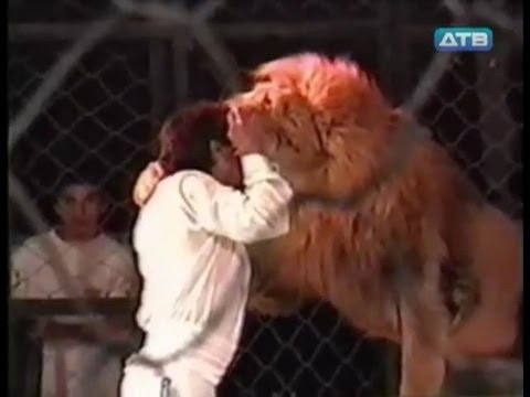 Трагедия в цирке! Лев напал на дрессировщика!