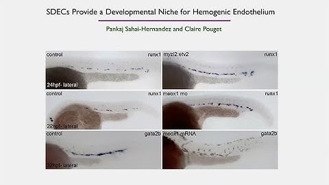 Genomics - Sanford Stem Cell Symposium