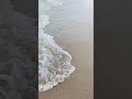 Waves Crashing on the Beach 🌊