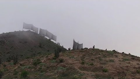 Thu sương mù lấy nước - Một giải pháp đối phó với  khủng hoảng nước