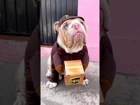 POLAR SE RETIRA DE YOUTUBE 💔😭🐶 #ultimovideo #polar #pets