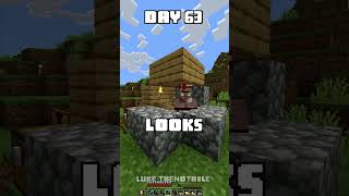 100 Days - [Minecraft Shorts] - Day 63 #minecraft #100days