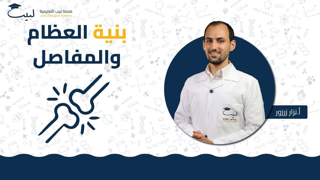 بنية العظام و المفاصل | الصف التاسع | العلوم 🫀| أ نزار زرزور 🥇| منصة لبيب التعليمية🎓