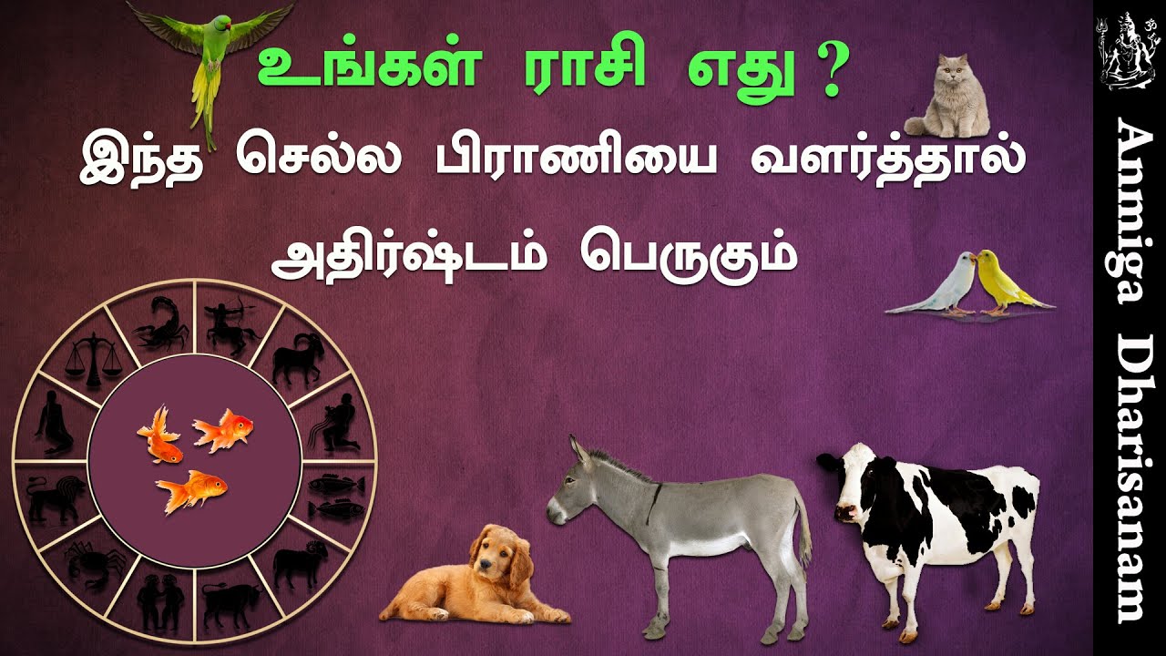12 Rasi Pet Animals உங்கள் ராசிக்கு எந்த செல்ல பிராணியை வளர்த்தால்  அதிர்ஷ்டம் பெருகும் | ராசி பலன் - YouTube