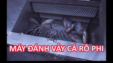 video máy đánh vảy cá rô đồng tại hồ chí minh, hướng dẫn sử dụng máy đánh vảy cá