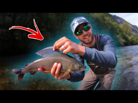 Trying NYMPH FLY