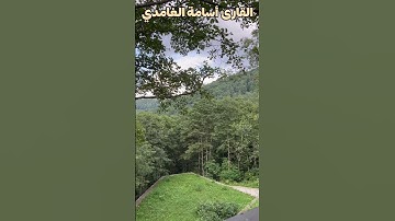 خواتيم سورة الشورى، تلاوة جميلة للقارئ أسامة الغامدي