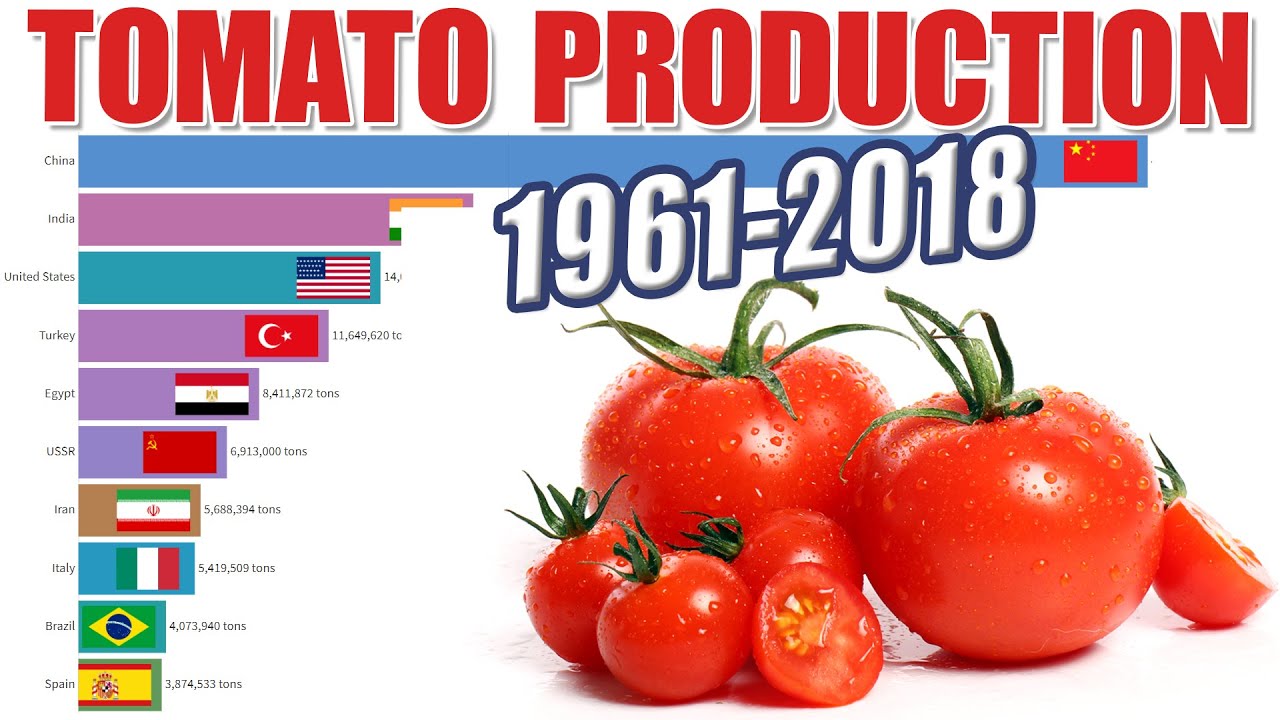 Tomato Production by Country [1961 - 2018]