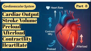 Stroke Volume || Cardiac Output | Contractility | Preload | Afterload | Heart Rate |