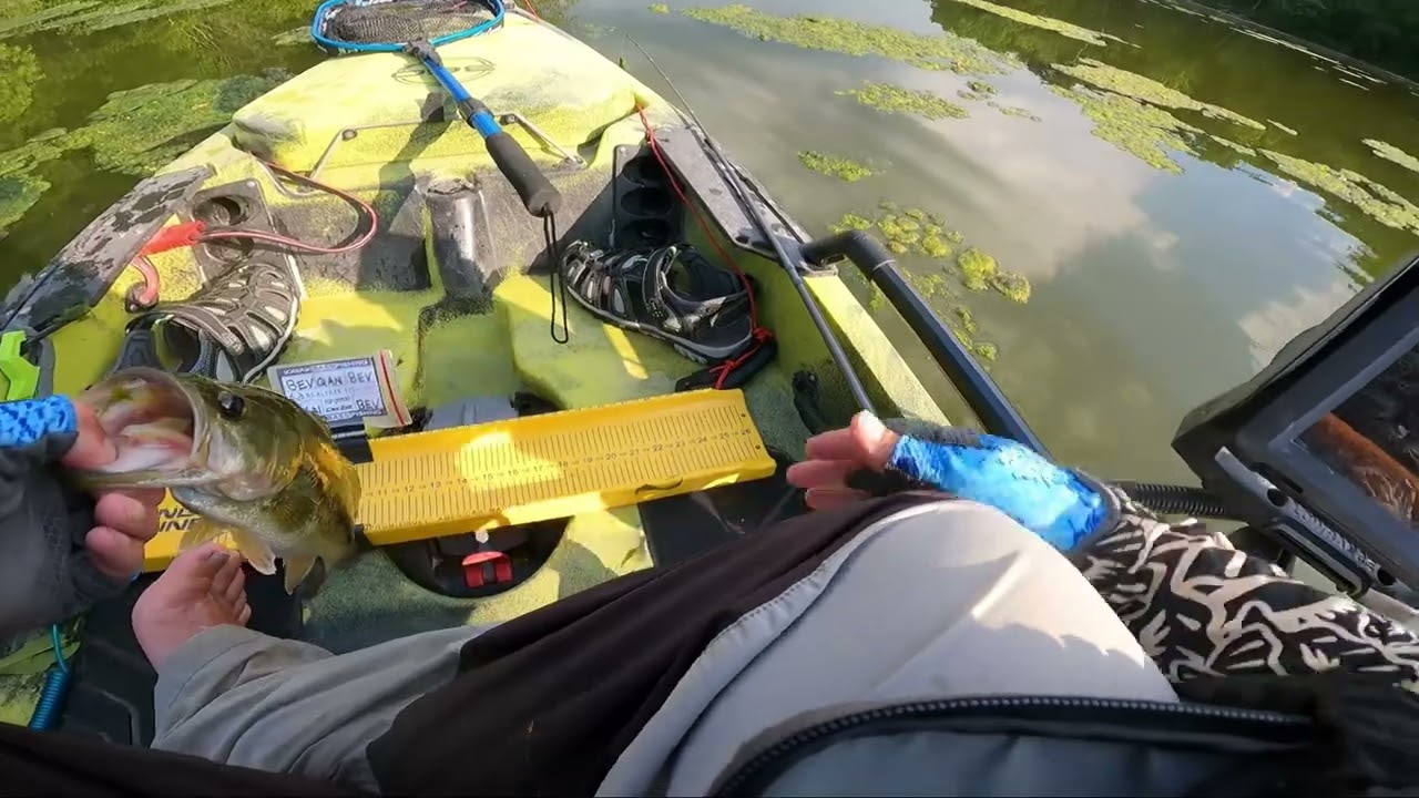 Evening bass fishing action! #bassfishing #basstournament #kayakfishing #kayakangler