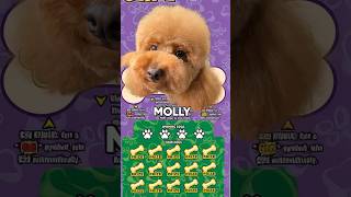 🐶How 18 local dogs took over the lottery #njlottery #scratchcards #doglovers