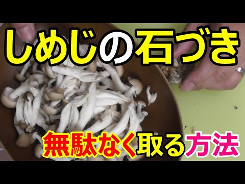 しめじと石づきを綺麗に取り分ける方法!めっちゃ綺麗に取れる!!!