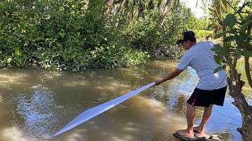 TVL - Chài Cá Đồng Làm Món Cá Lóc Nướng Trui | Đặc Sản Miền Tây