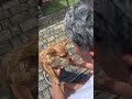 ぺっぺこぺーです❤️