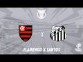 Flamengo vs Santos ao Vivo - Brasileirão 05/04/2026 ⚽