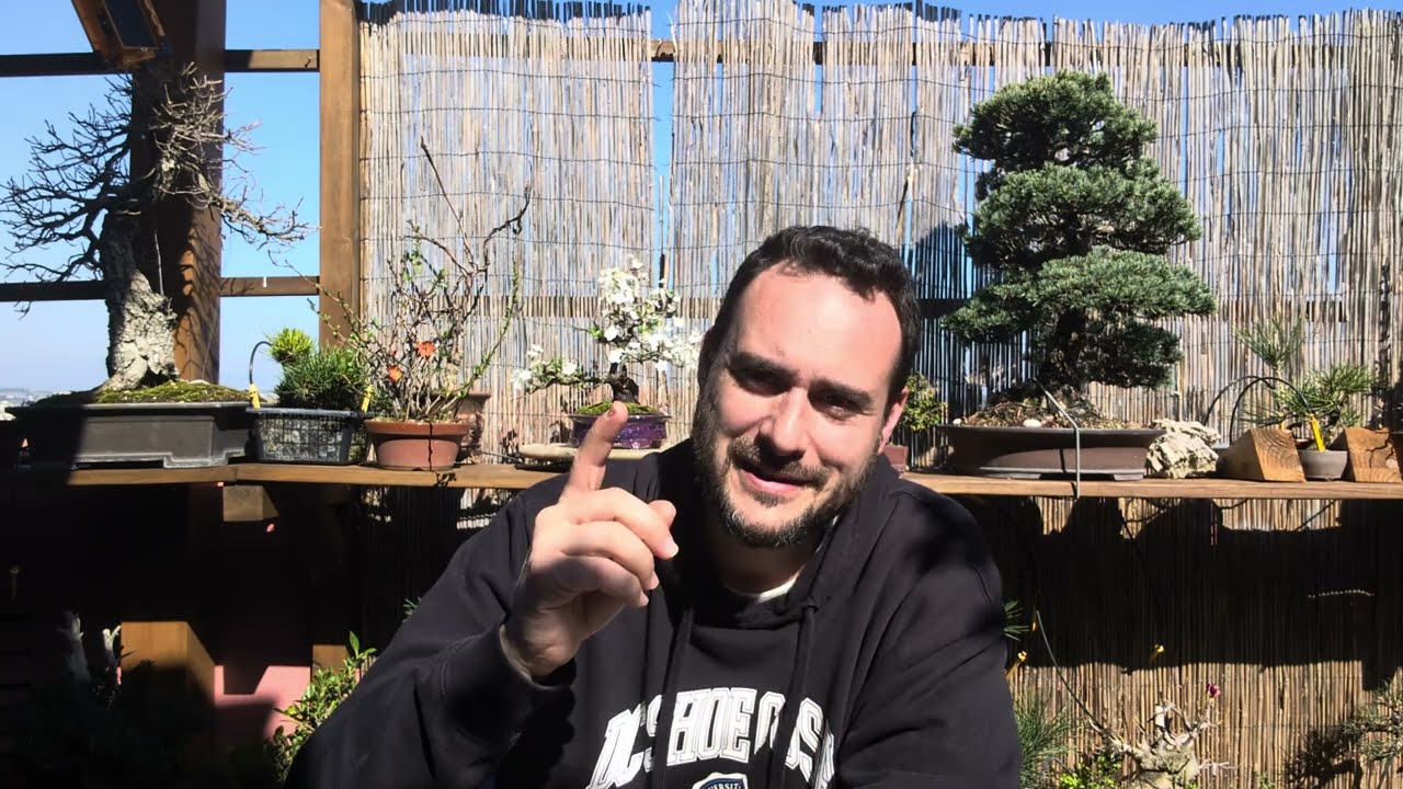 Trasplanta YA! O no... 