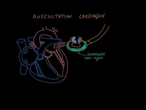 Auscultation cardiaque   Partie 1   Introduction   Docteur Synapse