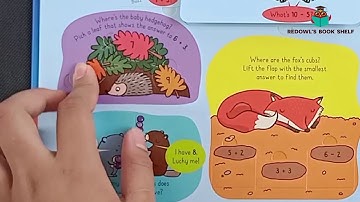 usborne lift the flap adding & subtracting