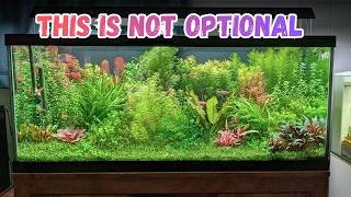 The ESSENTIAL guide to trimming your aquarium plants