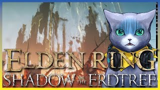 【10】ELDEN RING・エニル・イリム編突入！
