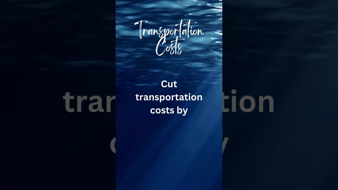 "Cutting Transportation Costs: Smart Strategies for Saving on Commuting and Travel"