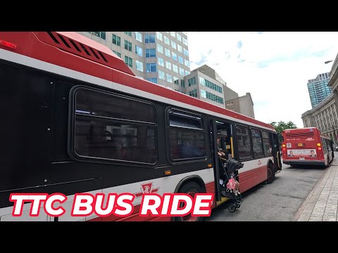 TTC 114 Bus