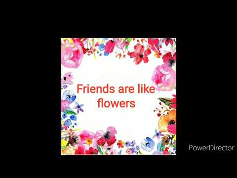 Friends are like flowers