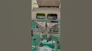 Granules Weighing and Filling Machine  and Filling Powder 2 Head Filling Machine with Weight Scale