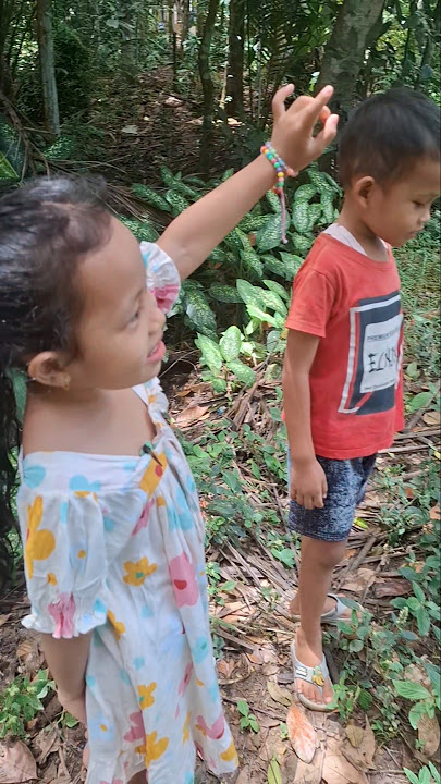 There's Enji on the tree #trendingshorts