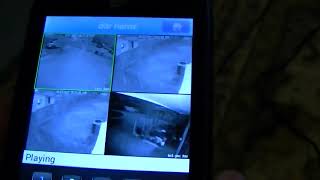 تطبيق DVR لأجهزة SWANN screenshot 3