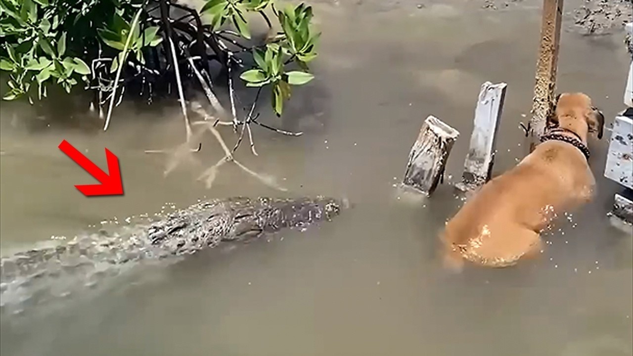 Isso Foi Realmente Filmado