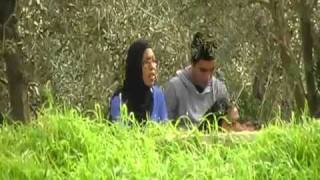 Chouha Labnat Maghreb