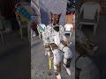 bro LOCKED IN and WON BIG in Rust.. #rust #funny #shorts