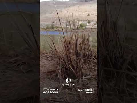 من المهم نكون مسؤولين عن كل أرض في بلدنا وحمايتها