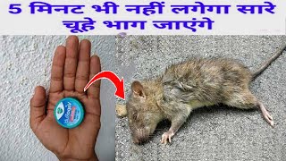 बिना मारे चूहे भगाए इस घरेलू नुस्खे से kitchen tips|get rid of mouse|chuhe bhagane Ka tarika & trick by SD something different 6,251 views 10 months ago 4 minutes, 50 seconds