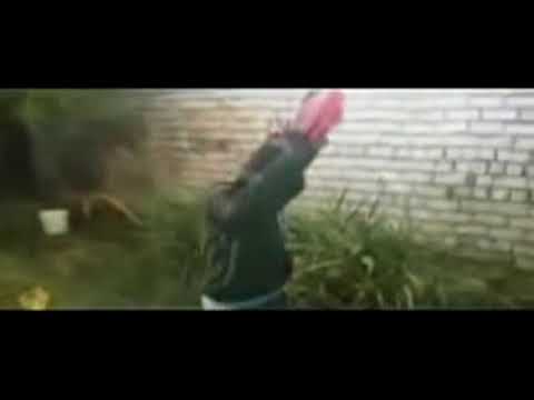 عيسي الفلاح والحرفوش كفك يا دنيا علم صباحكم معطر