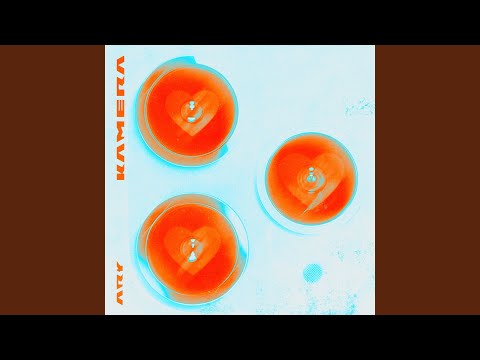 ARY - Kamera