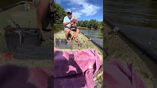 Fish Slaps 3 Kids In A Row What Happens Next Is Crazy