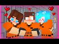 MAIZEN - JJ &amp; Mikey &amp; JJ Sister Prison Escape / Love Curse 2 - Minecraft Animation