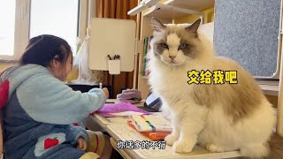 开学前一天：一支笔，一头猫，一个奇迹 by 猪娣儿是一只猫 700 views 1 month ago 6 minutes, 42 seconds