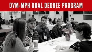 DVM-MPH Dual Degree