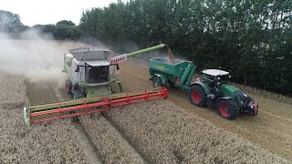 Weizen Ernte An Der Ostsee 2X Lexion 770Tt Gut Schmoel