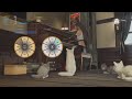 Aerith’s Theme song playing_A Class_FINAL FANTASY VII REBIRTH 支線任務《白毛天使》