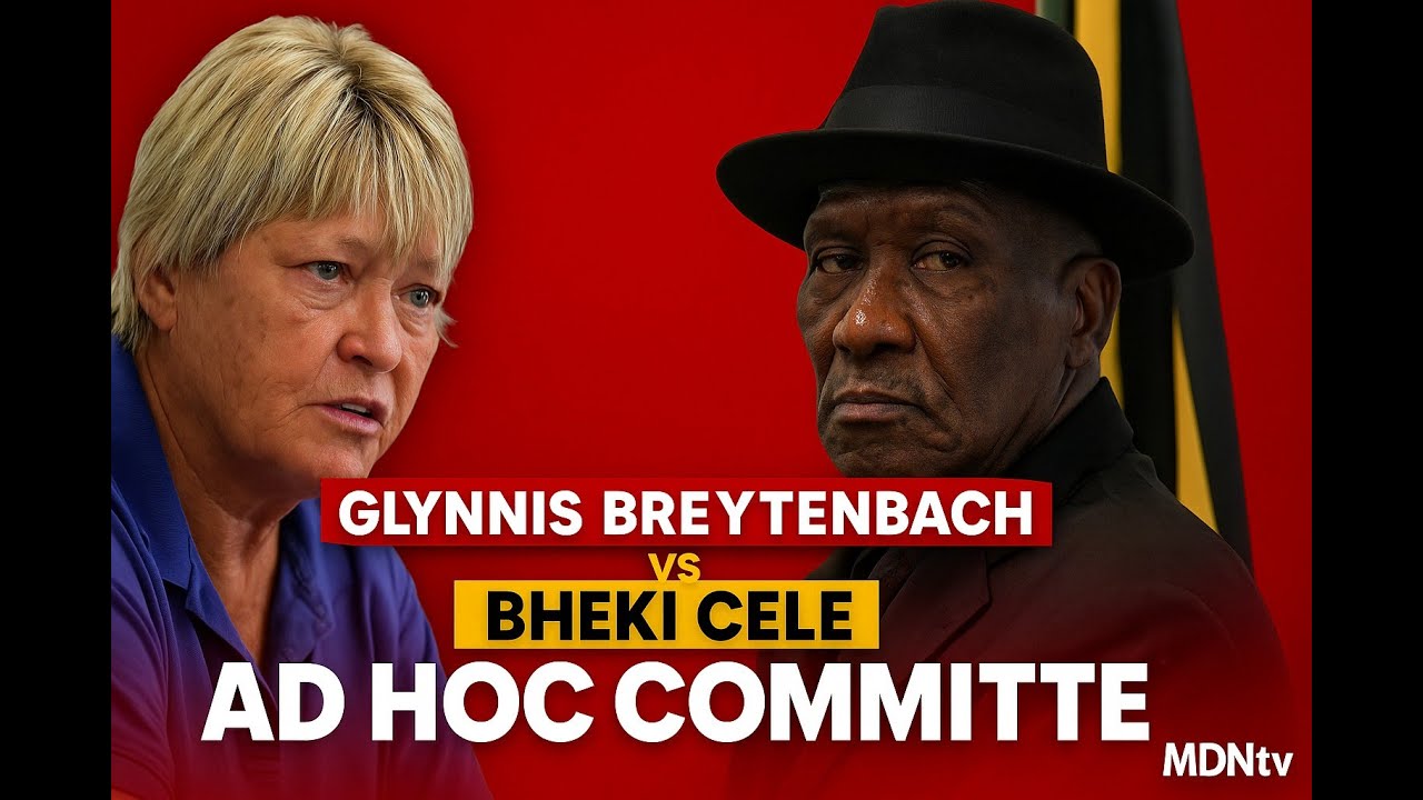 ГЛИННИС БРЕЙТЕНБАХ КОРНЕРС БХЕКИ ЧЕЛЕ | Взрывная разборка Специального комитета