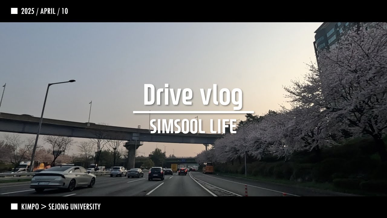 2025 0410 출근 Driver Vlog SIMSOOL 김포 올림픽대로 군자 세종대