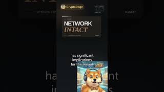 Litecoin Exploit Reversed