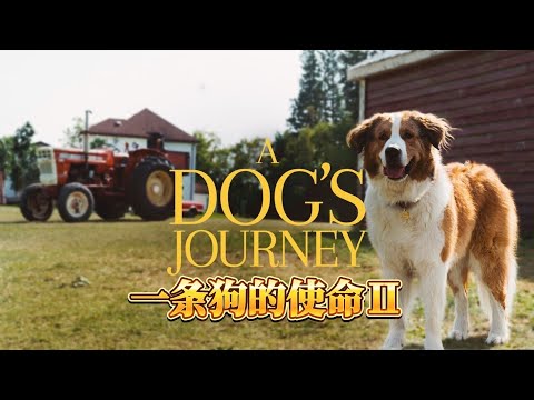 狗狗的旅程 一条狗的使命2