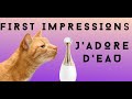 FIRST IMPRESSIONS NEW J&#39;ADORE D&#39;EAU REVIEW AND WEAR TEST