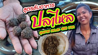 สูตรลับอาหาร ปลาไหล ขุนขาย กก.ละ 400 บาท