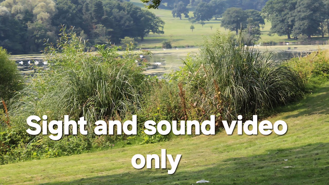 Gentle September walk/treadmill in Golden Acre Park